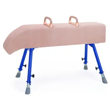 Click Here To Enlarge This Photo Of Vaulting Horse