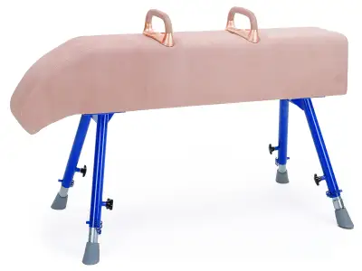 Vaulting Horse